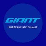 Giant Bordeaux Sainte-Eulalie